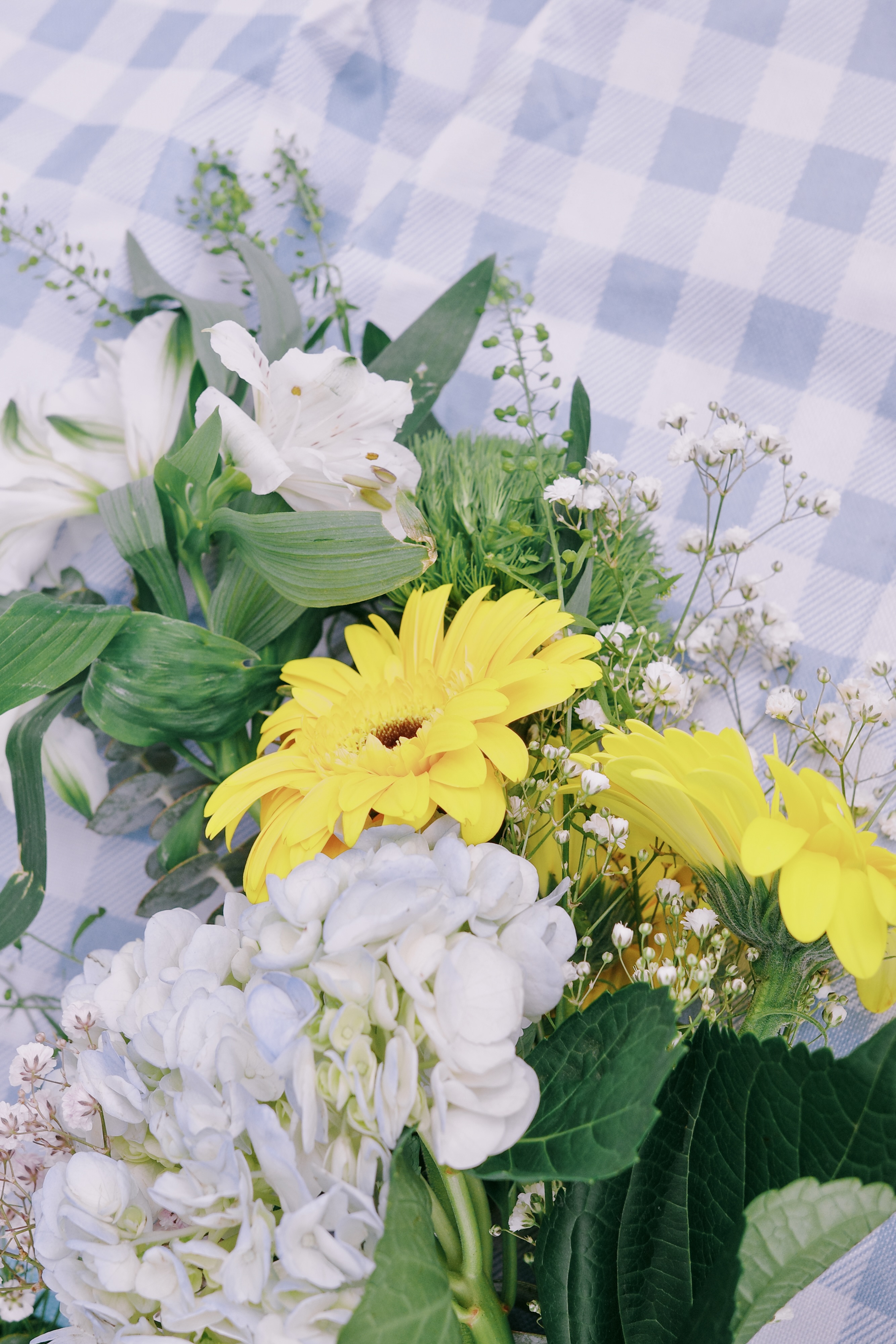 Boston Blooms Picnic