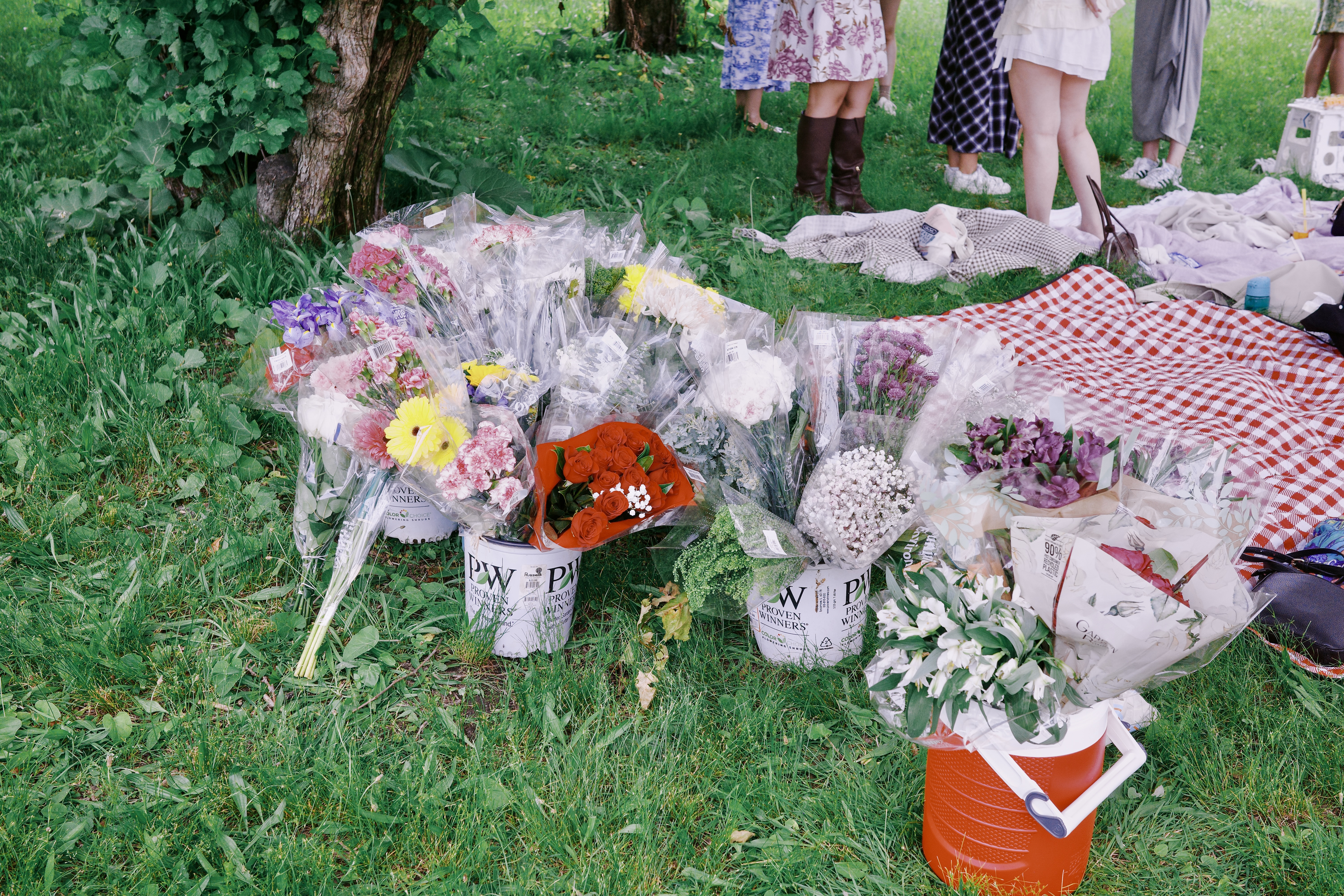 Boston Blooms Picnic