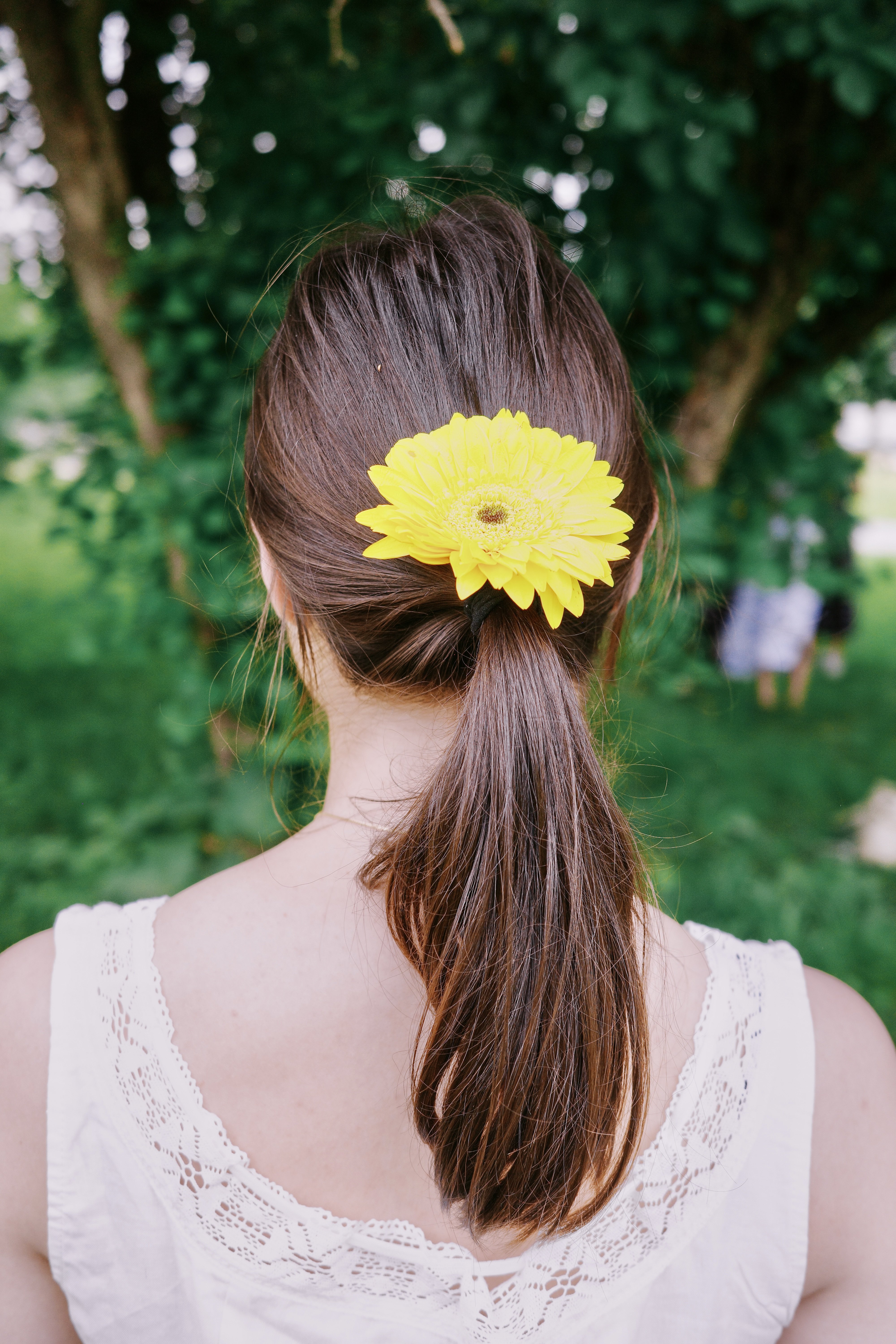 Boston Blooms Picnic