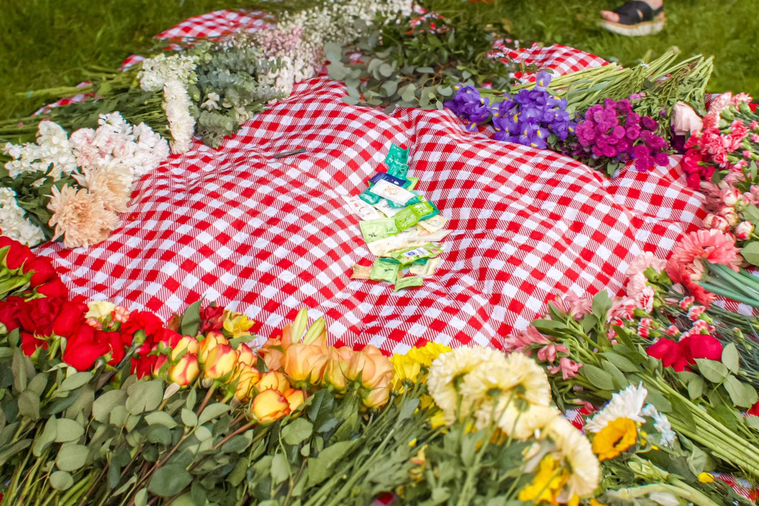 Boston Blooms Picnic