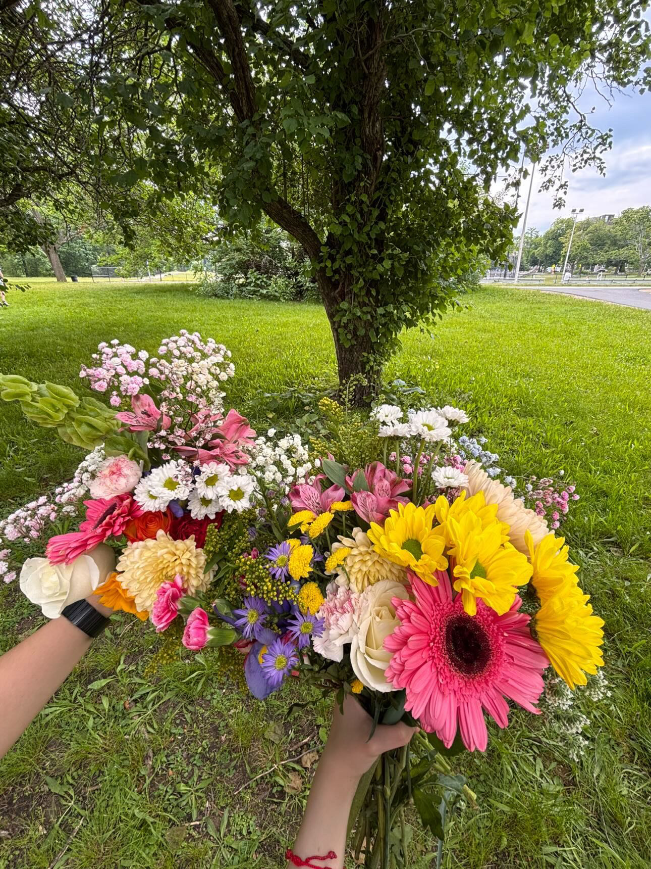 Boston Blooms Picnic